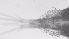  ( - ZOOPS_0619)  @11 [ ] BY-NC-ND (2019) Joe Connolly Cornell University