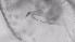  ( - ZOOPS_0731)  @11 [ ] BY-NC-ND (2019) Joe Connolly Cornell University
