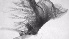  (Holopedium cf. gibberum - ZOOPS_0758)  @11 [ ] BY-NC-ND (2019) Joe Connolly Cornell University