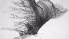  ( - ZOOPS_0758)  @11 [ ] BY-NC-ND (2019) Joe Connolly Cornell University