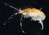  ( - BIOUG01212-F01)  @11 [ ] Copyright (2014) Peter J. Bryant University of California, Irvine