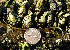  ( - CCDB-19281 B03)  @11 [ ] Unspecified (default): All Rights Reserved (2020) Peter J. Bryant University of California, Irvine
