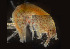  ( - BIOUG19282-H10)  @11 [ ] CreativeCommons - Attribution Non-Commercial Share-Alike (2015) Peter Bryant University of California, Developmental Biology Center