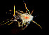 ( - BIOUG19287 B10)  @11 [ ] Unspecified (default): All Rights Reserved (2020) Peter J. Bryant University of California, Irvine