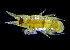  ( - BIOUG19287 G05)  @11 [ ] Unspecified (default): All Rights Reserved (2020) Peter J. Bryant University of California, Irvine