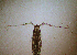 ( - BIOUG01207-C02)  @12 [ ] Copyright (2013) Peter J. Bryant University of California, Irvine