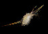  ( - CCDB-31779 F06)  @11 [ ] Unspecified (default): All Rights Reserved (2019) Peter J. Bryant University of California, Irvine