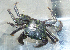  ( - BIOUG01207-G07)  @11 [ ] Copyright (2013) Peter J. Bryant University of California, Irvine