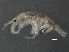  ( - BIOUG01207-H02)  @12 [ ] CreativeCommons - Attribution (2013) CBG Photography Group Centre for Biodiversity Genomics