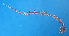  ( - HE-058)  @14 [ ] CreativeCommons - Attribution Non-Commercial Share-Alike (2013) Anna Zapata El Colegio de la Frontera Sur