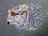  ( - ZMXII-611)  @13 [ ] CreativeCommons - Attribution Non-Commercial (2007) Manuel Elias Gutierrez Unspecified