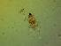  ( - ZMXII-662)  @12 [ ] Unspecified (default): All Rights Reserved  Arely Martinez-Arce Unspecified