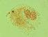  ( - ZMXII-737)  @12 [ ] Unspecified (default): All Rights Reserved  Arely Martinez-Arce Unspecified