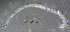 ( - ZMXII-592)  @12 [ ] CreativeCommons - Attribution Non-Commercial (2007) Manuel Elias Gutierrez Unspecified