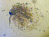  ( - ZMXII-675)  @13 [ ] CreativeCommons - Attribution Non-Commercial (2007) Manuel Elias Gutierrez Unspecified