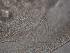  ( - ZPLMX98)  @12 [ ] Unspecified (default): All Rights Reserved  Unspecified Unspecified