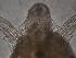  ( - ZPLMX106)  @12 [ ] Unspecified (default): All Rights Reserved  Unspecified Unspecified