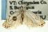 ( - CNCLEP00089750)  @13 [ ] CreativeCommons - Attribution Non-Commercial Share-Alike (2011) Jean-Francois Landry, CNC and Zhaofu Yang, BIO Canadian National Collections