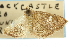  ( - CNCLEP00087972)  @14 [ ] CreativeCommons - Attribution Non-Commercial Share-Alike (2011) Jean-Francois Landry, CNC and Zhaofu Yang, BIO Canadian National Collections