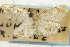  ( - CNCLEP00087973)  @11 [ ] CreativeCommons - Attribution Non-Commercial Share-Alike (2011) Jean-Francois Landry, CNC and Zhaofu Yang, BIO Canadian National Collections