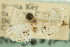 (Lipocosma diabata - CNCLEP00088026)  @11 [ ] CreativeCommons - Attribution Non-Commercial Share-Alike (2011) Jean-Francois Landry, CNC and Zhaofu Yang, BIO Canadian National Collections
