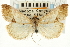  ( - CNCLEP00088121)  @14 [ ] CreativeCommons - Attribution Non-Commercial Share-Alike (2011) Jean-Francois Landry, CNC and Zhaofu Yang, BIO Canadian National Collections