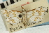  (Leptosteges flavicostella - CNCLEP00088176)  @11 [ ] CreativeCommons - Attribution Non-Commercial Share-Alike (2011) Jean-Francois Landry, CNC and Zhaofu Yang, BIO Canadian National Collections