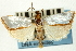  ( - CNCLEP00088237)  @11 [ ] CreativeCommons - Attribution Non-Commercial Share-Alike (2011) Jean-Francois Landry, CNC and Zhaofu Yang, BIO Canadian National Collections