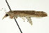  ( - CNCLEP00088262)  @12 [ ] CreativeCommons - Attribution Non-Commercial Share-Alike (2011) Jean-Francois Landry, CNC and Zhaofu Yang, BIO Canadian National Collections