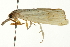  ( - CNCLEP00088324)  @12 [ ] CreativeCommons - Attribution Non-Commercial Share-Alike (2011) Jean-Francois Landry, CNC and Zhaofu Yang, BIO Canadian National Collections