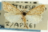  ( - CNCLEP00088345)  @11 [ ] CreativeCommons - Attribution Non-Commercial Share-Alike (2011) Jean-Francois Landry, CNC and Zhaofu Yang, BIO Canadian National Collections