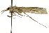  (Eufernaldia cadarella - CNCLEP00088358)  @13 [ ] CreativeCommons - Attribution Non-Commercial Share-Alike (2011) Jean-Francois Landry, CNC and Zhaofu Yang, BIO Canadian National Collections
