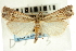  ( - CNCLEP00088504)  @11 [ ] CreativeCommons - Attribution Non-Commercial Share-Alike (2011) Jean-Francois Landry, CNC and Zhaofu Yang, BIO Canadian National Collections