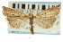  ( - CNCLEP00088509)  @13 [ ] CreativeCommons - Attribution Non-Commercial Share-Alike (2011) Jean-Francois Landry, CNC and Zhaofu Yang, BIO Canadian National Collections