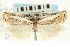  ( - CNCLEP00088621)  @14 [ ] CreativeCommons - Attribution Non-Commercial Share-Alike (2011) Jean-Francois Landry, CNC and Zhaofu Yang, BIO Canadian National Collections