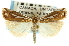  ( - CNCLEP00088628)  @14 [ ] CreativeCommons - Attribution Non-Commercial Share-Alike (2011) Jean-Francois Landry, CNC and Zhaofu Yang, BIO Canadian National Collections