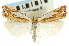  (Crambus bidens - CNCLEP00088630)  @15 [ ] CreativeCommons - Attribution Non-Commercial Share-Alike (2011) Jean-Francois Landry, CNC and Zhaofu Yang, BIO Canadian National Collections