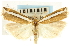 (Crambus unistriatellus - CNCLEP00088637)  @16 [ ] CreativeCommons - Attribution Non-Commercial Share-Alike (2011) Jean-Francois Landry, CNC and Zhaofu Yang, BIO Canadian National Collections