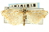  ( - CNCLEP00088644)  @11 [ ] CreativeCommons - Attribution Non-Commercial Share-Alike (2011) Jean-Francois Landry, CNC and Zhaofu Yang, BIO Canadian National Collections