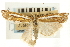  (Crambus cockleellus - CNCLEP00088663)  @11 [ ] CreativeCommons - Attribution Non-Commercial Share-Alike (2011) Jean-Francois Landry, CNC and Zhaofu Yang, BIO Canadian National Collections