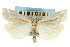  (Crambus girardellus - CNCLEP00088698)  @15 [ ] CreativeCommons - Attribution Non-Commercial Share-Alike (2011) Jean-Francois Landry, CNC and Zhaofu Yang, BIO Canadian National Collections