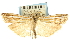  (Crambus sargentellus - CNCLEP00088717)  @13 [ ] CreativeCommons - Attribution Non-Commercial Share-Alike (2011) Jean-Francois Landry, CNC and Zhaofu Yang, BIO Canadian National Collections