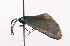  ( - ZPPJJglo#003)  @12 [ ] Copyright (2010) Unspecified Crimea State Medical University