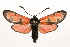  ( - ZZZZAsedsed001)  @15 [ ] Copyright (2010) Unspecified Crimea State Medical University