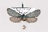  ( - PPAAgerori002)  @12 [ ] Copyright (2010) Unspecified Crimea State Medical University