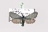  ( - PPAAgerori003)  @12 [ ] Copyright (2010) Unspecified Crimea State Medical University