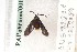  ( - PAPo#com#001)  @12 [ ] Copyright (2010) Unspecified Crimea State Medical University