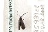  ( - PAPo#ach#002)  @12 [ ] Copyright (2010) Unspecified Crimea State Medical University
