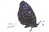  ( - ChChAm#ali#002)  @12 [ ] Unspecified (default): All Rights Reserved  Unspecified Unspecified