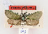  ( - PPAAalb#011)  @11 [ ] No Rights Reserved (2014) Unspecified TLMF